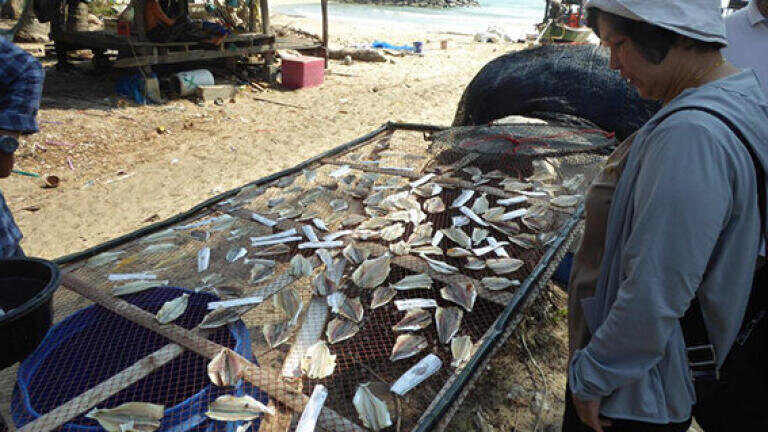 Fish on sale in Thailand
(© Edge Hill University)