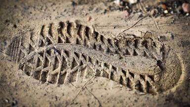 How Do Microplastics Affect Soil Species?