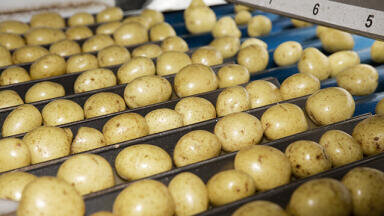 Pumps and mixers help treat potato processing effluent