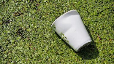 Do Biodegradable Plastics Actually Reduce Pollution?