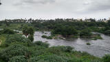 Global study of 48 cities finds nature sanitizes 41.7 million tons of human waste a year