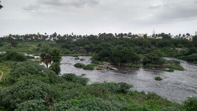 Global study of 48 cities finds nature sanitizes 41.7 million tons of human waste a year