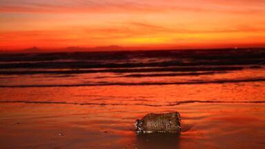 What Happens to Plastic Once It's In Our Oceans?