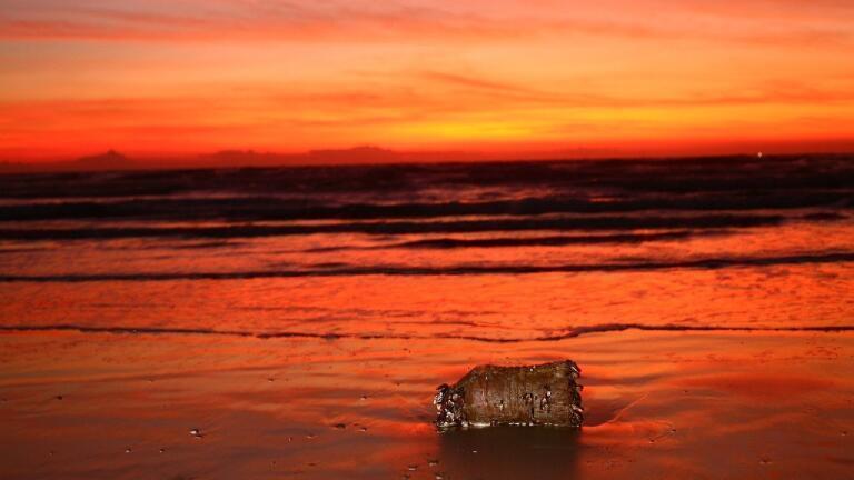 What Happens to Plastic Once It's In Our Oceans?