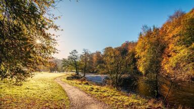 Why Is DEFRA Facing Court Action?