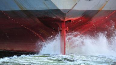 How to Stop Noise Pollution in the Ocean