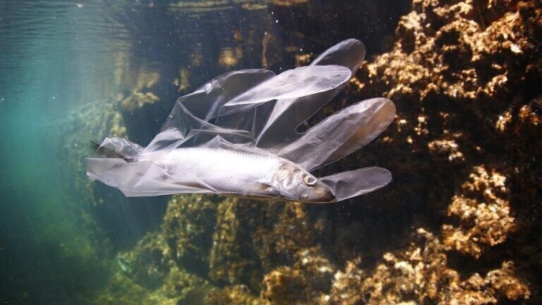 Is It Possible to Monitor Ocean Plastic Pollution?