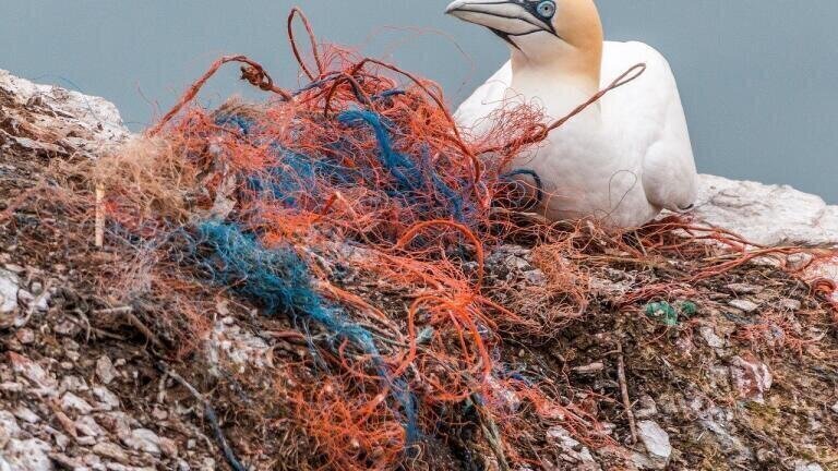 What Are the Different Types of Marine Pollution?