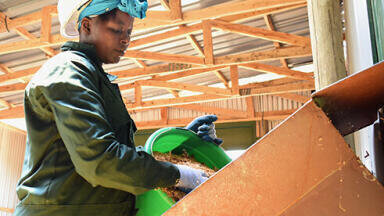 Faecal Sludge converted into biomass briquettes