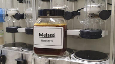 Multipurpose bioplastic from soy residues