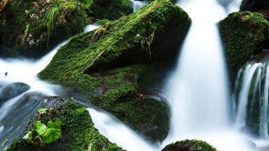 How Do Rivers 'Breathe' Greenhouse Gases?