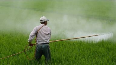 How Much Land Is Threatened by Pesticide Pollution?
