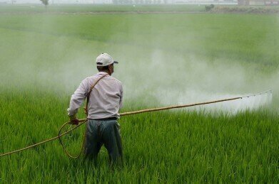 How Much Land Is Threatened by Pesticide Pollution?