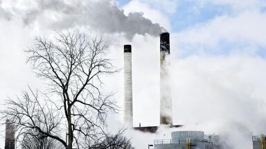 What Are the Industrial Targets for Carbon Capture?