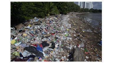 Free online educational platform provides essential knowledge regarding ocean plastic pollution, cleanup efforts, and solutions for creating plastic-free environments