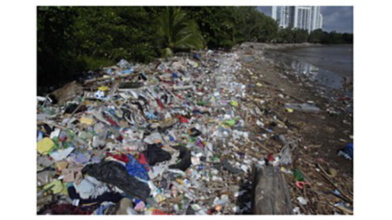 Free online educational platform provides essential knowledge regarding ocean plastic pollution, cleanup efforts, and solutions for creating plastic-free environments