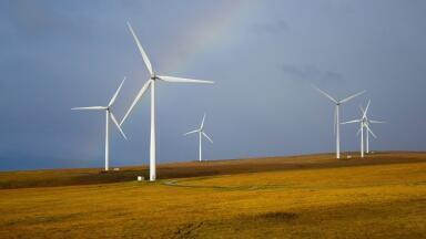 What Is Renewable Energy?