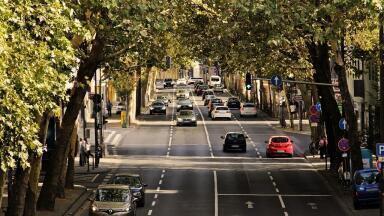 How Are Biofuels Used?