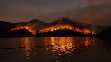 What Are the Consequences of Climate Change?