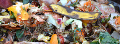 Gas supply set to go green using food waste