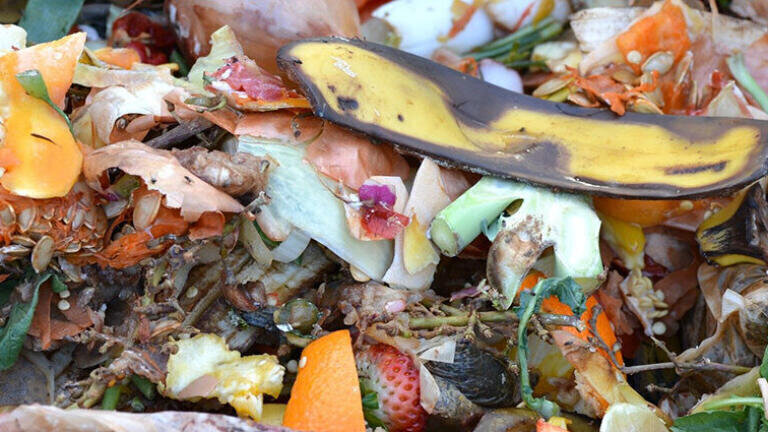 Gas supply set to go green using food waste