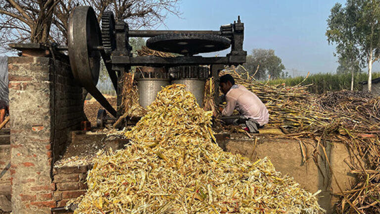 From biomass to biofuel with Biezel Green Energy’s TAD Technology