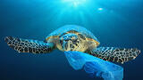 New research reveals ‘disconnect’ between litter and marine plastic Pollution