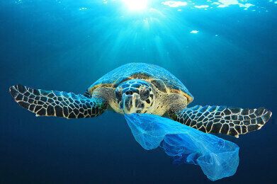 New research reveals ‘disconnect’ between litter and marine plastic Pollution