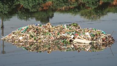 What Are the Consequences of Having Polluted Rivers?