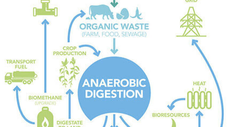 WBA organic waste diagram