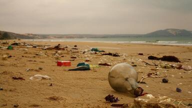 What Diseases Are Caused by Microplastics?