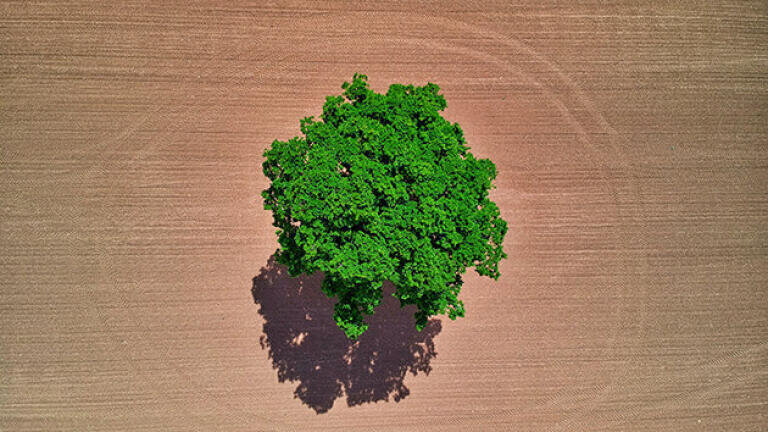 Developing bioplastics in the agricultural industry