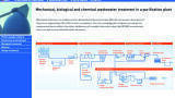 International water resources management
