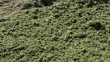 Wärtsilä biogas upgrading plant will help turn grass into gas