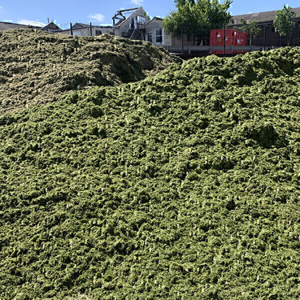 Wärtsilä biogas upgrading plant will help turn grass into gas Pollution Solutions Online - Vimarsana News