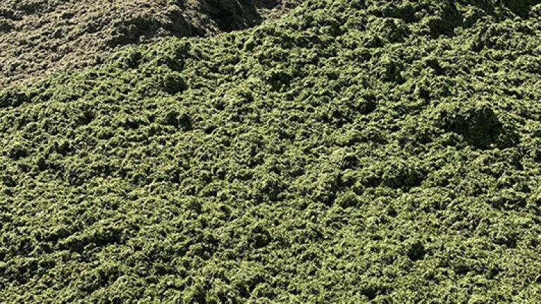 Wärtsilä biogas upgrading plant will help turn grass into gas