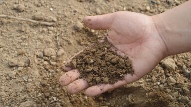 What Is Meant By Soil Remediation?