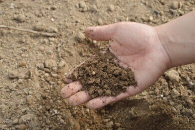 What Is Meant By Soil Remediation?