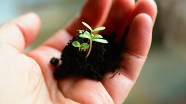 What Methods Are Used for Soil Remediation?
