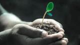 What Is the Remediation of Contaminated Soil?