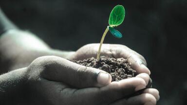 What Is the Remediation of Contaminated Soil?