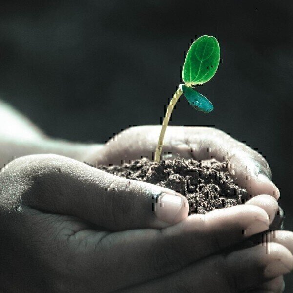 What Is the Remediation of Contaminated Soil? - Vimarsana News