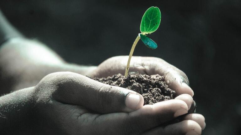 What Is the Remediation of Contaminated Soil?