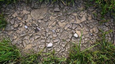 What Is the Remediation Process for Soil?