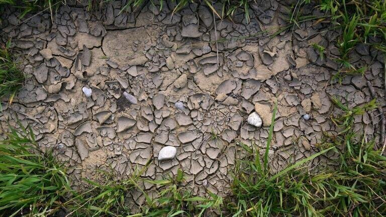 What Is the Remediation Process for Soil?