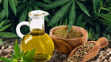 Hemp has the potential to make Scotland's agricultural sector carbon neutral