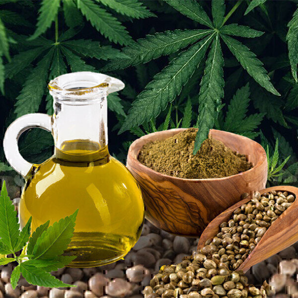 Hemp has the potential to make Scotland's agricultural sector carbon neutral Pollution Solutions Online - Vimarsana News