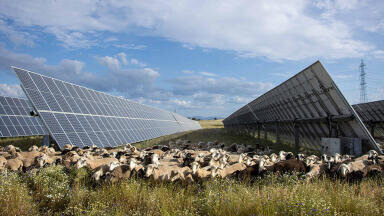 Solar power in Europe is growing rapidly due to increased renewable energy ambitions and the need to reduce dependence on Russian gas