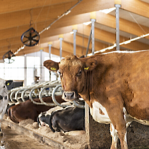 Plasma technology to convert barn air methane into carbon dioxide - Vimarsana News