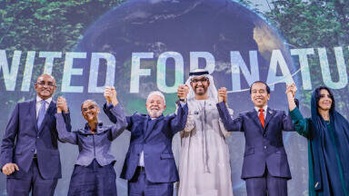 Joint Statement by Brazil and UAE on COP28 to COP30 Nature-Climate Partnership